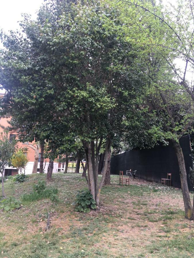 Apartamento Tra S.Orsola E Fiera Bolonia Exterior foto
